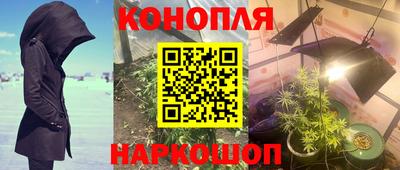 спайс Дубна