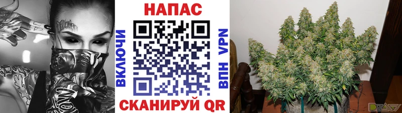 Конопля THC 21%  Ковров 